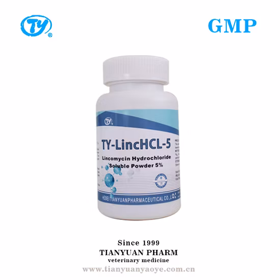 Poultry High Quality GMP Lincomycin Hydrochloride Soluble Powder Veterinary Drugs